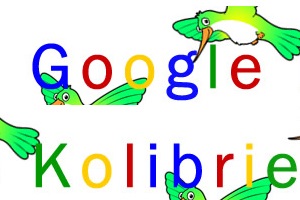 Google kolibrie